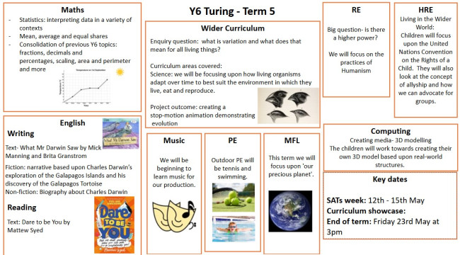 yr6 curriulum letter